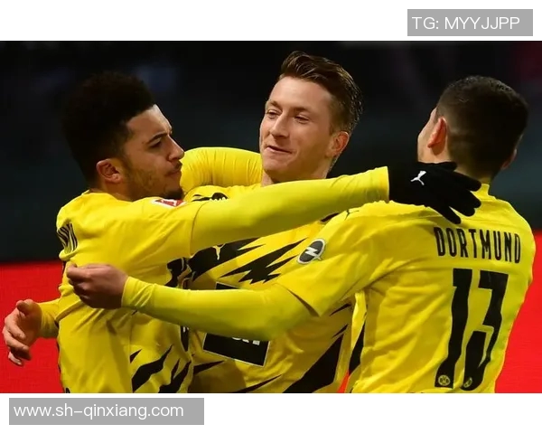 德甲积分榜大起大落，球队实力对比揭秘