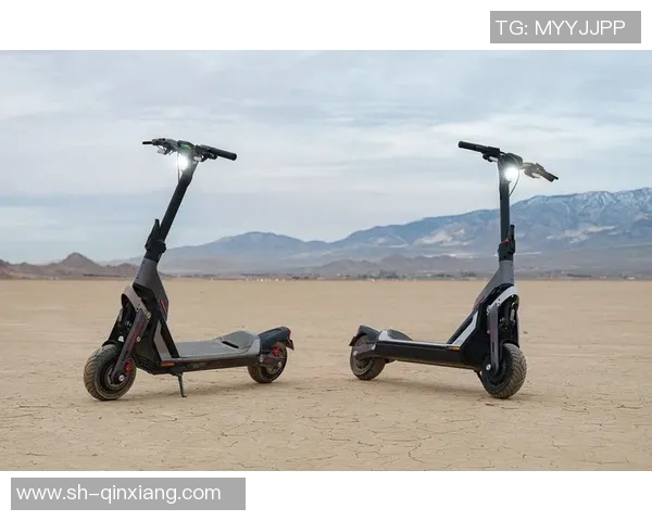 杭州滑板队技术创新与挑战的深入分析与探讨