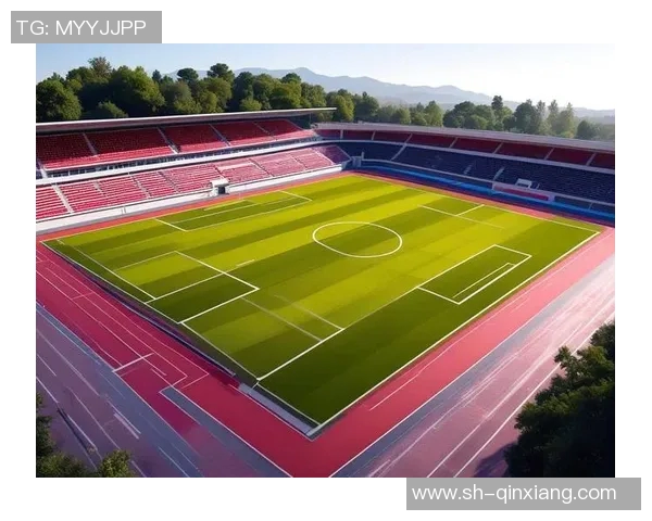 足球新手必看:提升灵活性的全面入门指南与实用技巧分享 足球新手必看:提升灵活性的全面入门指南与实用技巧分享